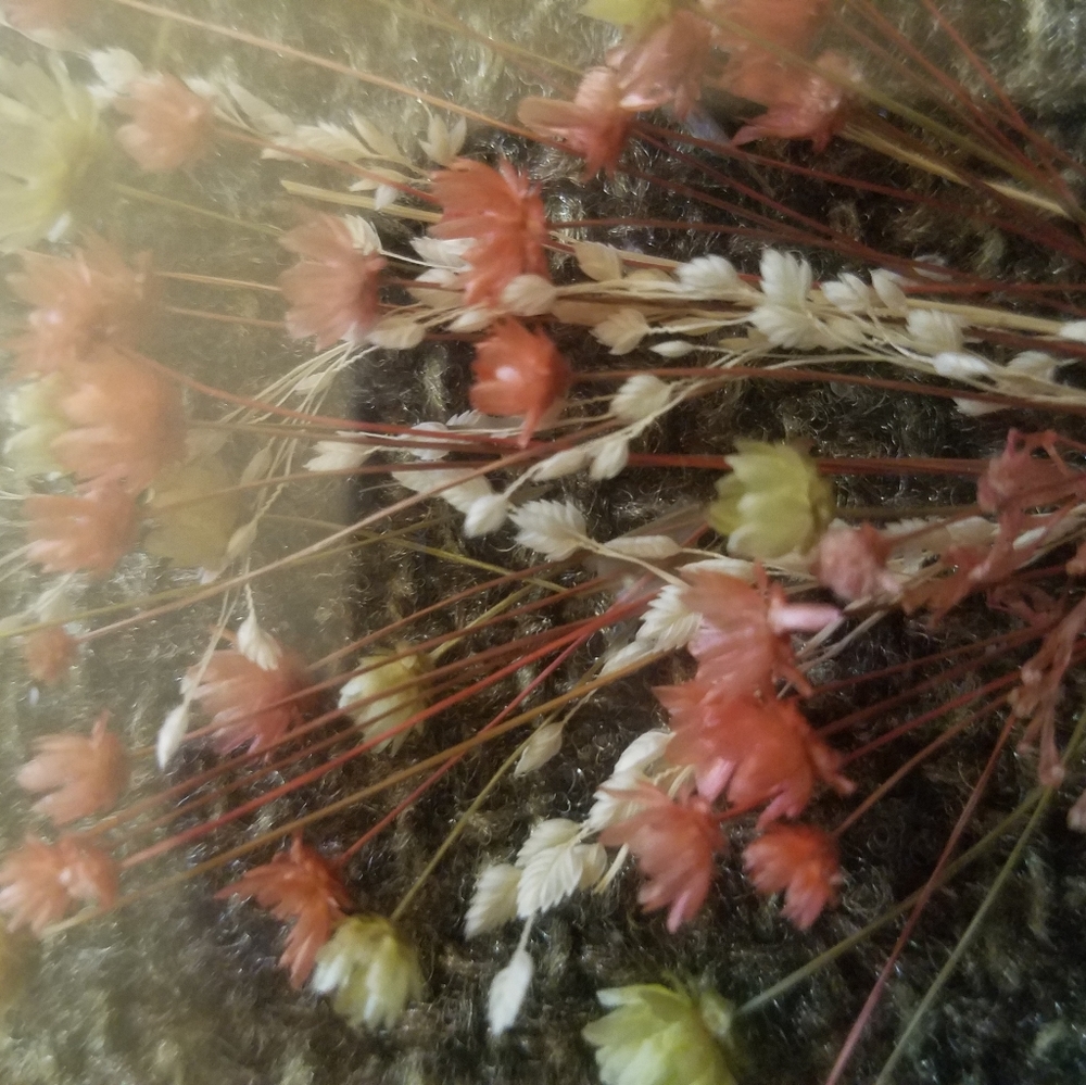 Vintage Dried Flowers Framed Shadow Box Picture - Picture 6 of 16